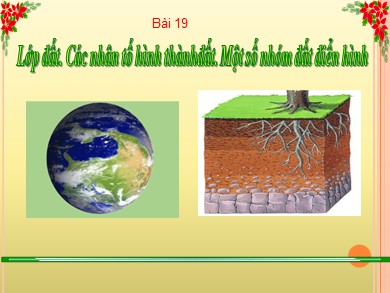 Bài giảng Địa lí Lớp 6 Sách Chân trời sáng tạo - Bài 19: Lớp đất. Các nhân tố hình thànhđất. Một số nhóm đất điển hình