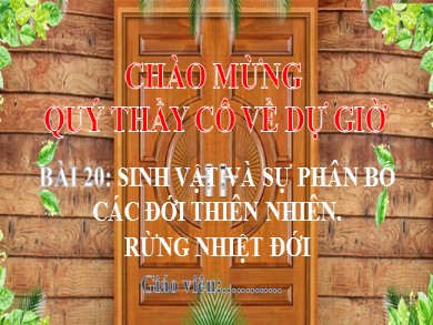 Bài giảng Địa lí Lớp 6 Sách Chân trời sáng tạo - Bài 20: Sinh vật và sự phân bố các đới thiên nhiên. Rừng nhiệt đới