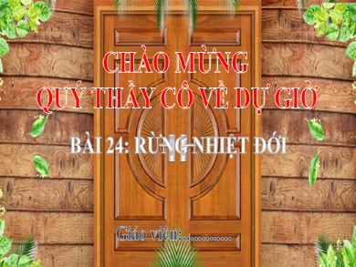 Bài giảng Địa lí Lớp 6 Sách Kết nối tri thức với cuộc sống - Bài 24: Rừng nhiệt đới