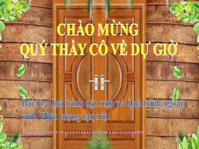 Bài giảng Địa lí Lớp 6 Sách Kết nối tri thức với cuộc sống - Bài 11: Quá trình nội sinh và quá trình ngoại sinh. Hiện tượng tạo núi