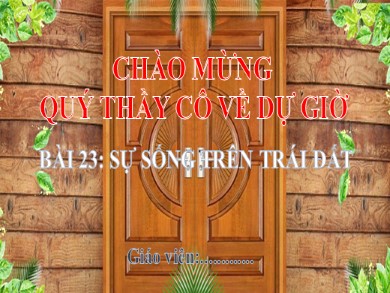 Bài giảng Địa lí Lớp 6 Sách Kết nối tri thức với cuộc sống - Bài 23: Sự sống trên Trái Đất