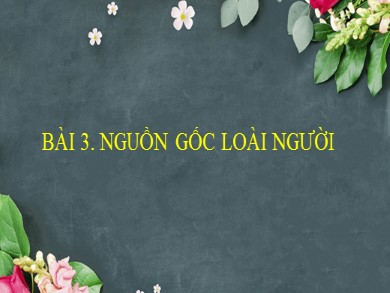 Bài giảng Lịch sử Lớp 6 Sách Cánh diều - Bài 3: Nguồn gốc loài người