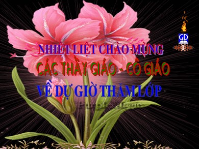 Bài giảng Ngữ văn Lớp 6 - Tiết 104: Văn bản Cô Tô