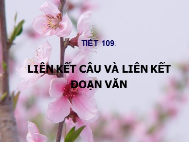 Bài giảng Ngữ văn Lớp 9 - Tiết 109: Liên kết câu và liên kết đoạn văn