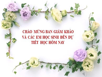 Bài giảng phát triển năng lực Ngữ văn Lớp 8 - Văn bản: Đi bộ ngao du - Nguyễn Thị Hạnh