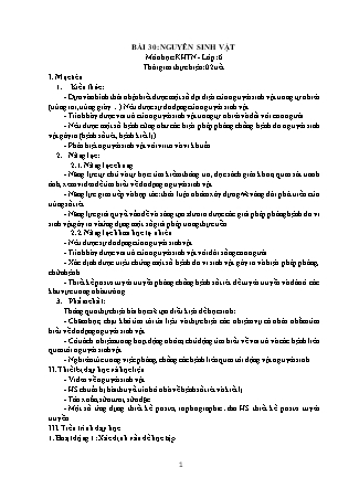 Giáo án Khoa học tự nhiên Lớp 6 Sách Kết nối tri thức với cuộc sống - Chương 7: Đa dạng thế giới sống - Bài 30: Nguyên sinh vật