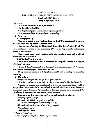 Giáo án Khoa học tự nhiên Lớp 6 Sách Kết nối tri thức với cuộc sống - Chương 5: Tế bào - Bài 18: Tế bào. Đơn vị chức năng của sự sống