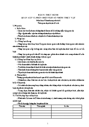 Giáo án Khoa học tự nhiên Lớp 6 Sách Kết nối tri thức với cuộc sống - Chương 7: Đa dạng thế giới sống - Bài 35: Thực hành quan sát và phân biệt một số nhóm thực vật