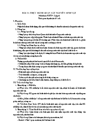 Giáo án Khoa học tự nhiên Lớp 6 Sách Kết nối tri thức với cuộc sống - Chương 7: Đa dạng thế giới sống - Bài 31: Thực hành quan sát nguyên sinh vật