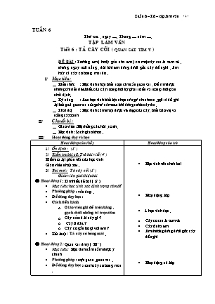 Giáo án Tập làm văn Lớp 4 - Tuần 6, Tiết 6: Tả cây cối (Quan sát tìm ý)