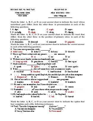 Đề ôn thi vào Lớp 10 môn Tiếng Anh - Năm học 2023-2024 - Trường THCS Tân Bình (Có đáp án)