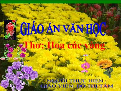 Bài giảng Mầm non - Đề tài: Thơ Hoa cúc vàng (GV: Đỗ Thị Tâm - Trường MN Chu Minh)