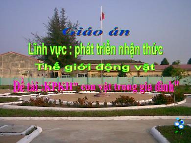 Bài giảng Mầm non Lớp Lá - Đề tài: KPKH con vật trong gia đình